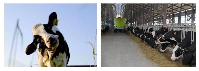 登录入口丨每天一杯奶，幸福健康喝出来！！！