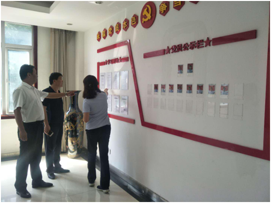 “ 看听谈查 ”板 找短板  党建巡查促提升——登录入口集团党委开展基层党建工作巡查