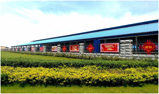 “ 看听谈查 ”板 找短板  党建巡查促提升——登录入口集团党委开展基层党建工作巡查