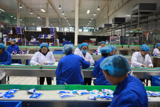 党员带头赴一线  助力春节保生产—登录入口别样“生产突击队”助力车间生产