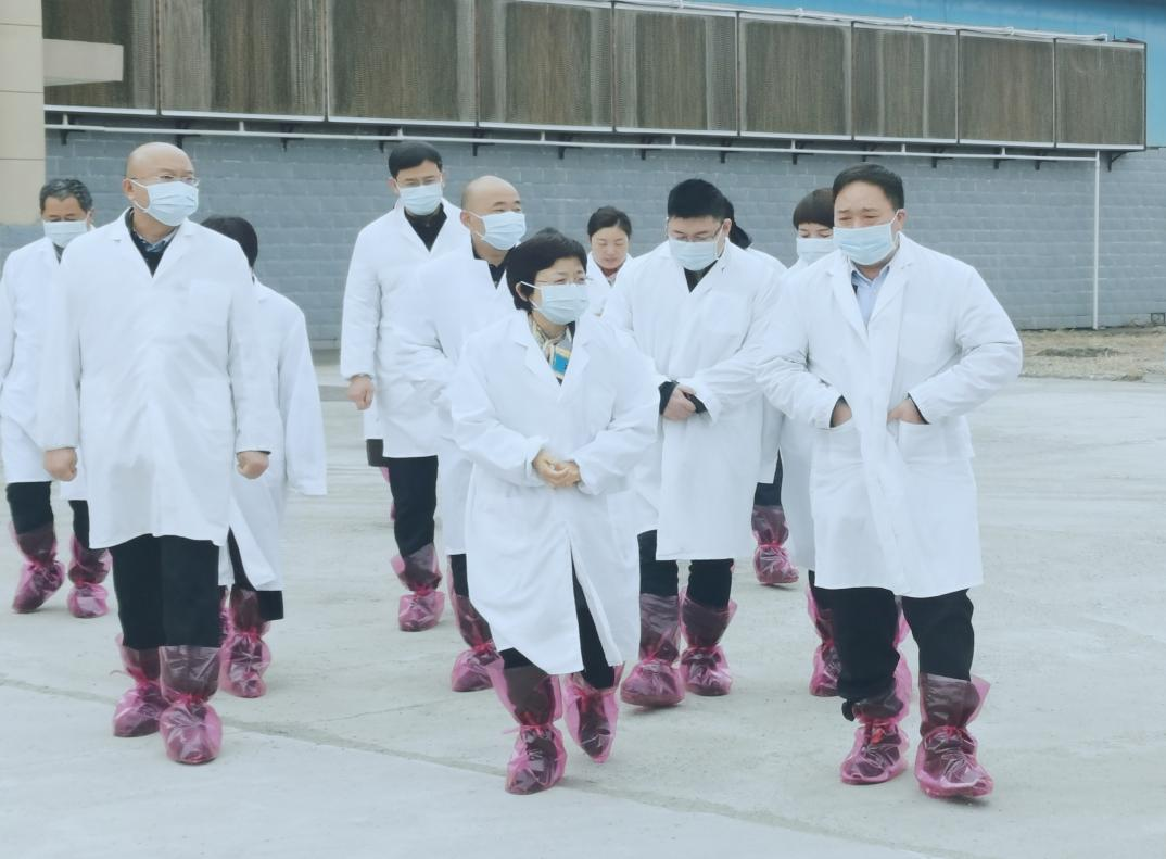 河南省郑州市人民政府副市长李凤芝一行莅临登录入口河南瑞亚参观调研