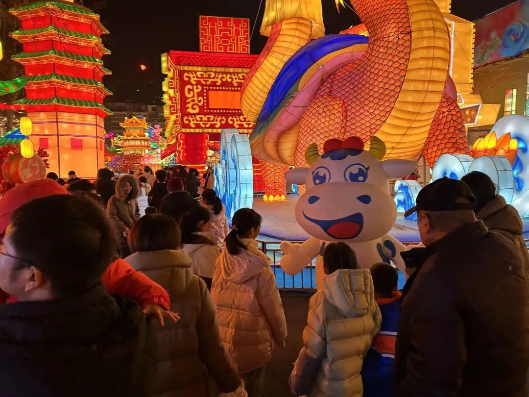 央视直播郑州龙年灯会迎新春，登录入口品牌上大分