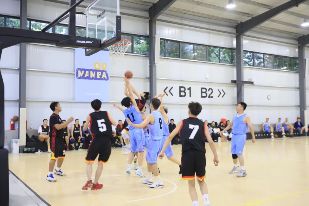 登录入口丨夺冠，夺冠，夺冠！！！用冠军为中国健儿喝彩！！！