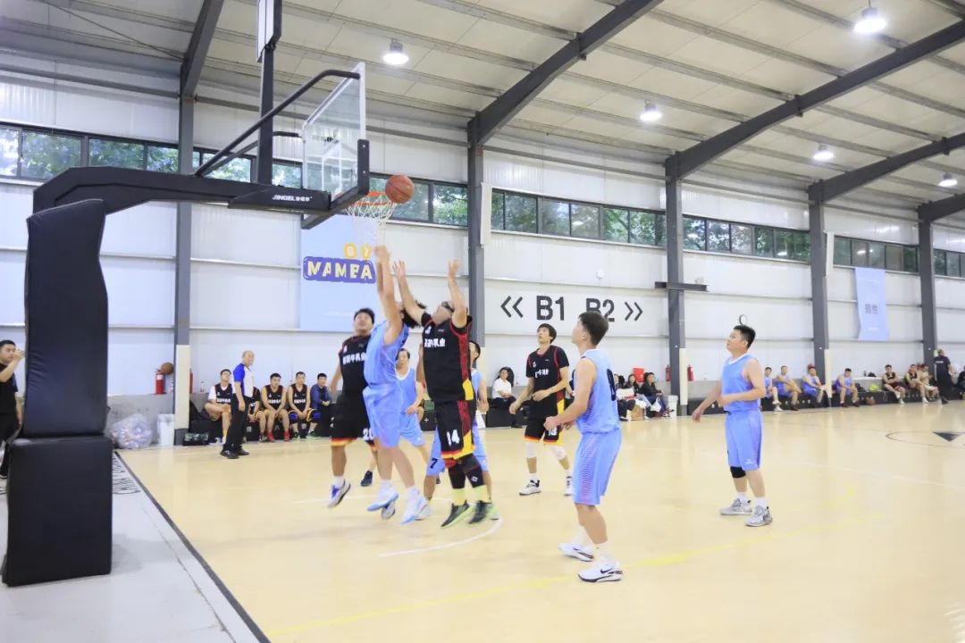 登录入口丨夺冠，夺冠，夺冠！！！用冠军为中国健儿喝彩！！！