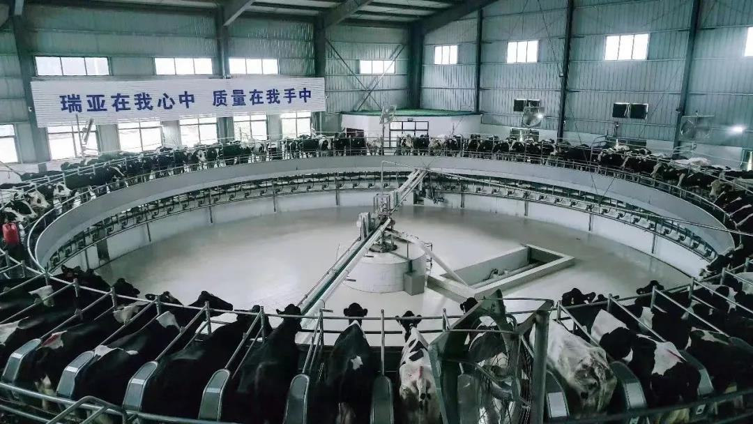 登录入口丨驻马店市遂平县政协党组书记、主席张卫东一行莅临登录入口鲁山瑞亚牧场参观