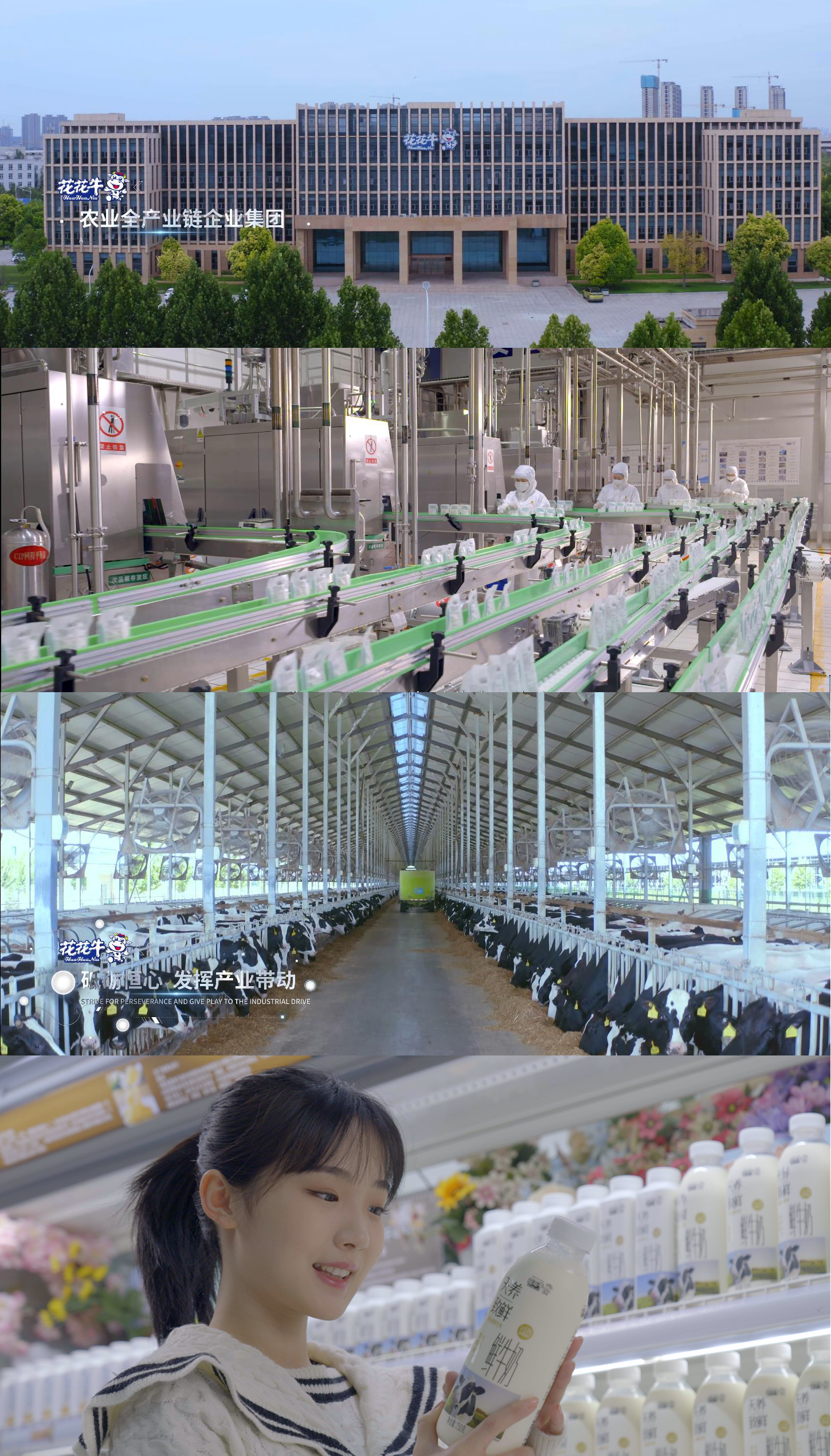 快讯 | 沈阳市政府副市长郑滨一行莅临登录入口乳业集团考察