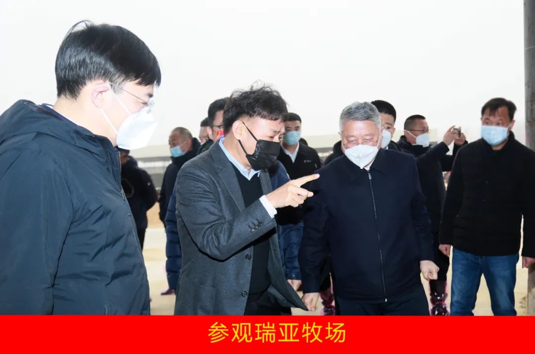 新年开新局 合作促发展丨佳木斯市委常委、副市长闫志刚一行莅临登录入口乳业集团及佳田企业考察座谈