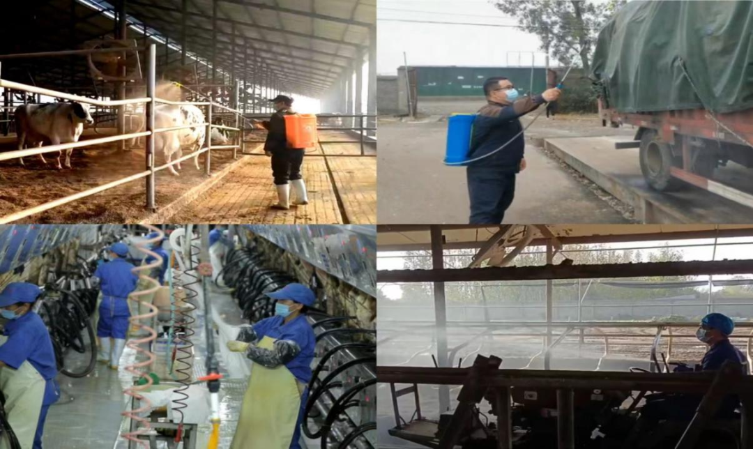 @全体登录入口人:请珍惜你的岗位,请善待我们共同的“登录入口”! @全体登录入口人:请珍惜你的岗位,请善待我们共同的“登录入口”!