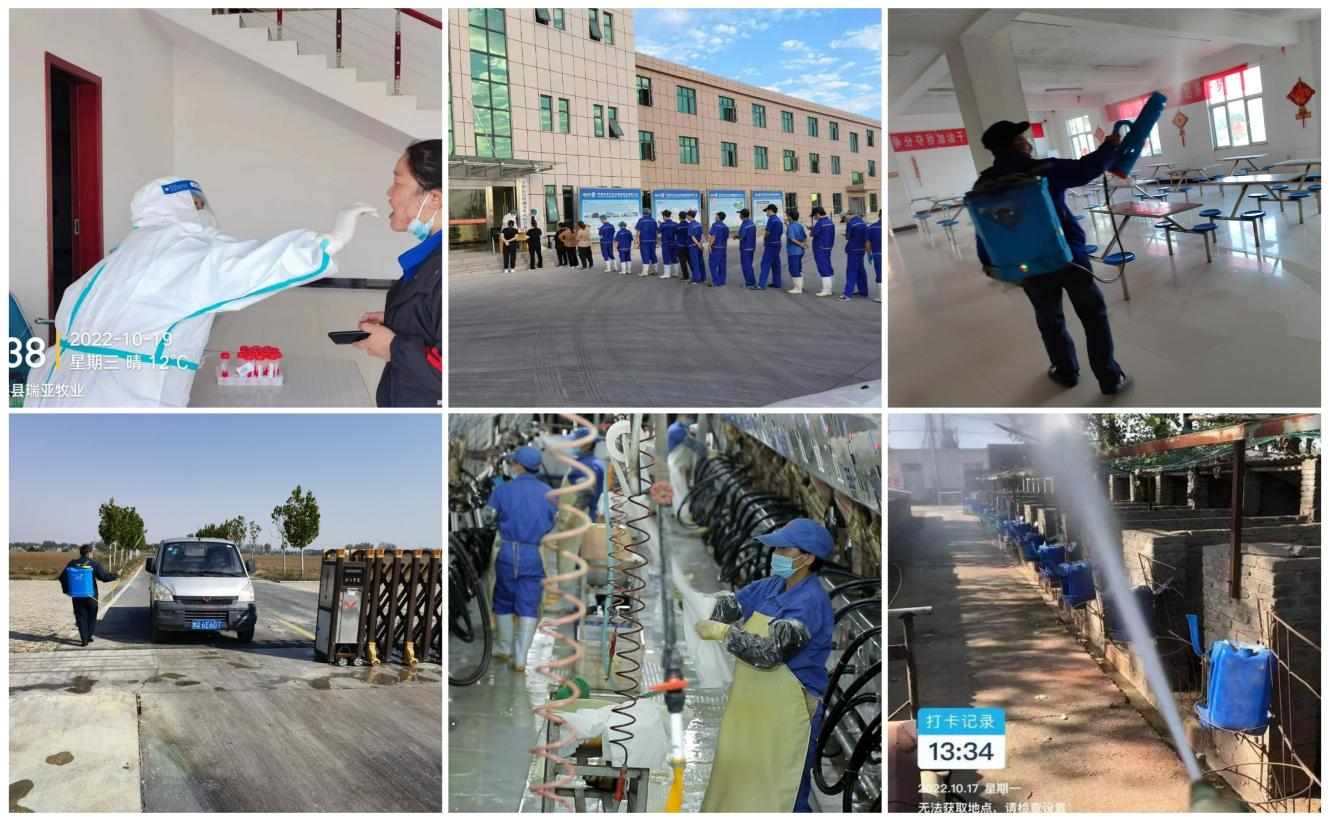 抗疫情、保供应、显担当——登录入口在行动！！！