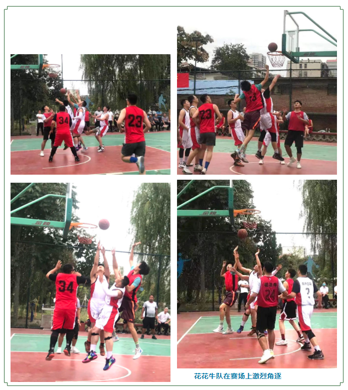 登录入口冠军丨2022年河南省郑州种畜场篮球联赛圆满结束