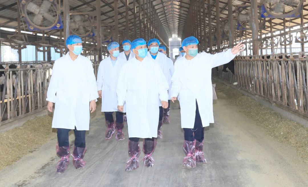 快讯丨河南省人民政府副省长武国定莅临登录入口乳业集团瑞亚牧业调研奶源基地建设情况