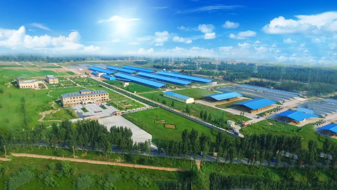 喜讯 | 登录入口一座自有牧场入选河南省“DHI测定优秀牧场”