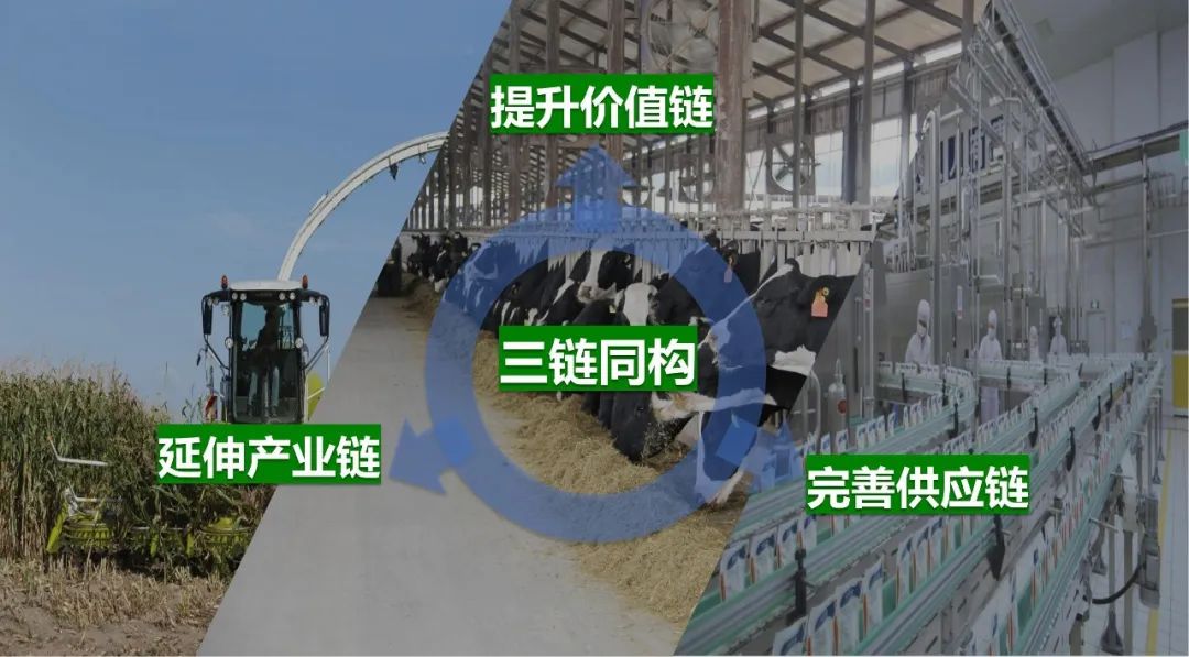佳木斯市招商考察团莅临登录入口考察座谈