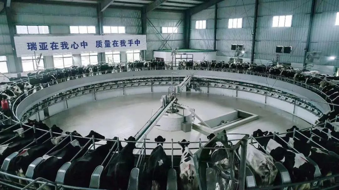 登录入口 | 河南瑞亚牧业入选“河南省畜禽核心育种场”