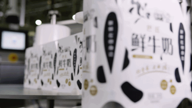 登录入口 | “2020河南食品安全与发展论坛——新常态下的高质量发展”成功举办