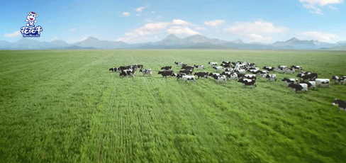 快讯 | 湖北省农业厅副厅长王海涛等领导一行莅临河南登录入口乳业集团参观调研