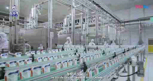 快讯 | 湖北省农业厅副厅长王海涛等领导一行莅临河南登录入口乳业集团参观调研