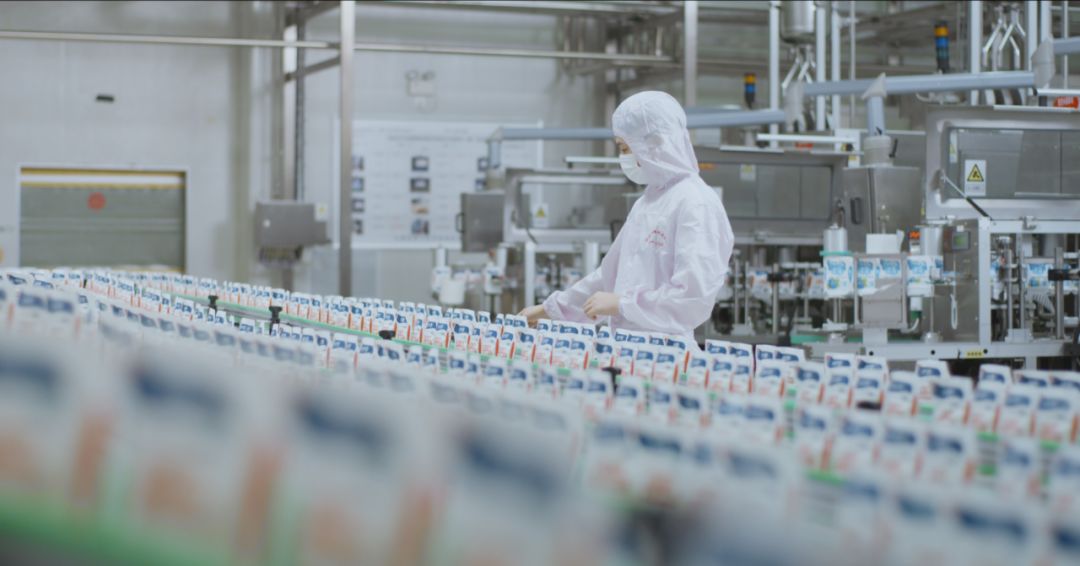 快讯 | 河南省人民政府食品安全委员会办公室第三批食品安全示范区验收组领导莅临登录入口乳业集团验收食品安全示范区建设情况