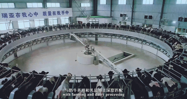 快讯 | 河南省委常委、省纪委书记、省监委主任任正晓莅临登录入口乳业集团新蔡瑞亚牧场调研