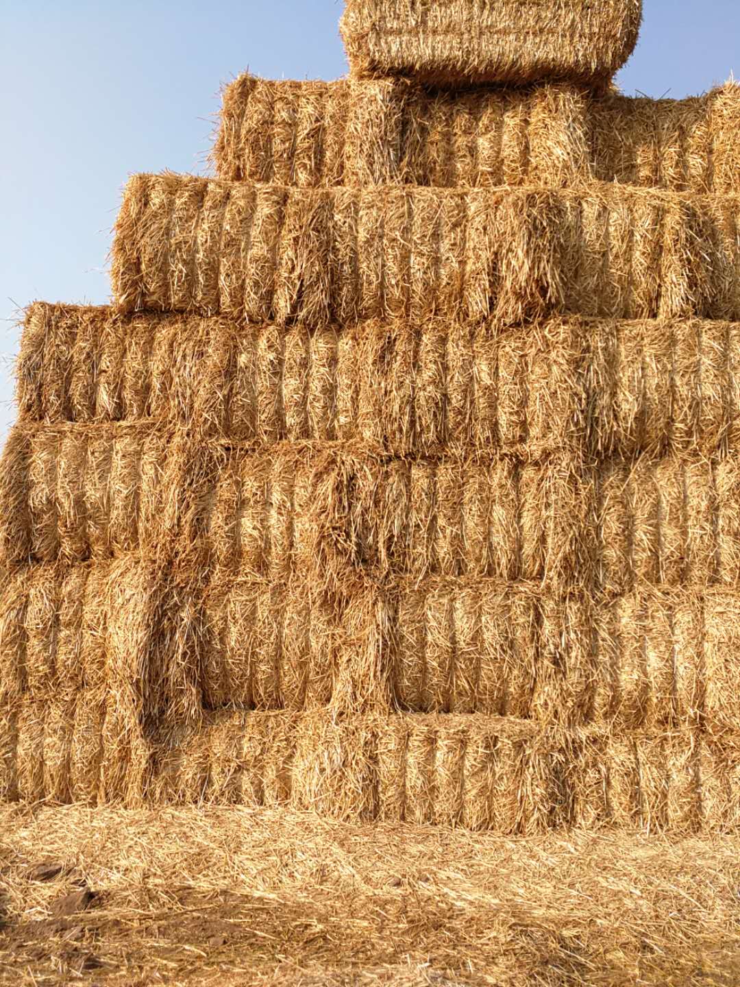 多宝·duobao官方网站 2020年小麦秸秆订单采购信息