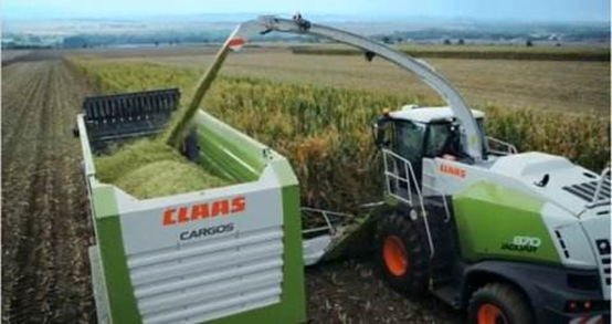 多宝·duobao官方网站 2020年玉米青贮采购信息