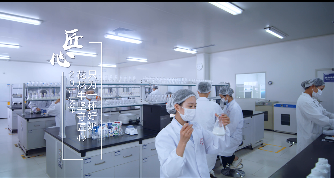 郑州市委副书记、市长王新伟莅临登录入口乳业集团调研