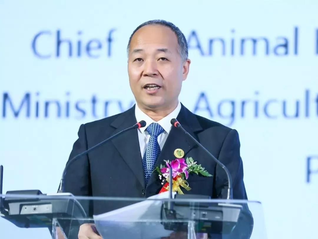 SDDDC走进河南，看看登录入口的国际范儿！