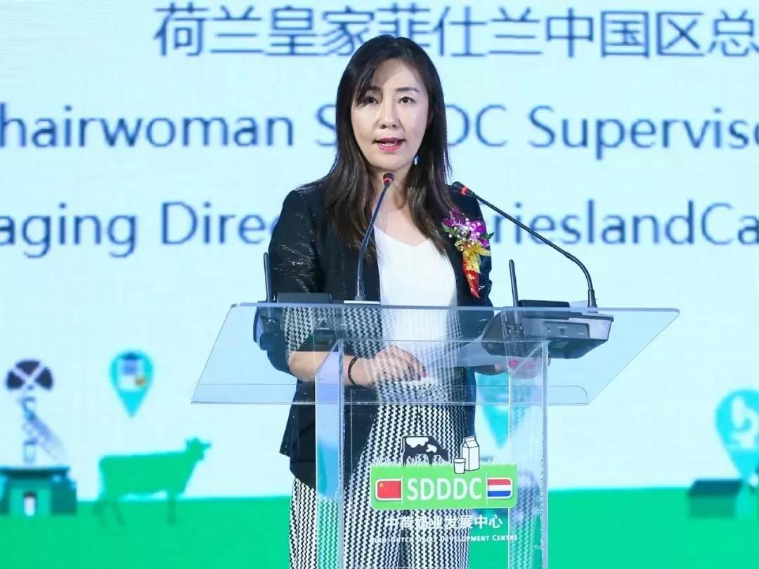 SDDDC走进河南，看看登录入口的国际范儿！