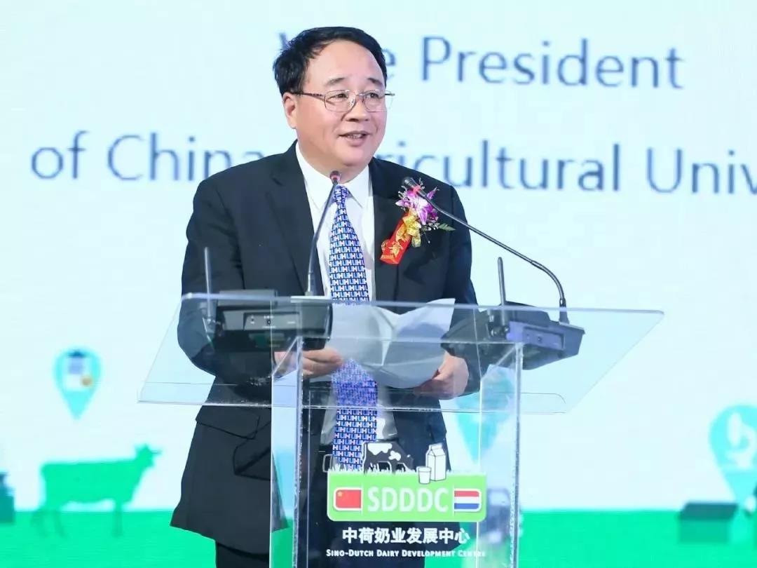 SDDDC走进河南，看看登录入口的国际范儿！