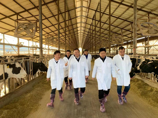 宁夏回族自治区农业农村厅党组书记、厅长王刚一行莅临登录入口乳业集团调研