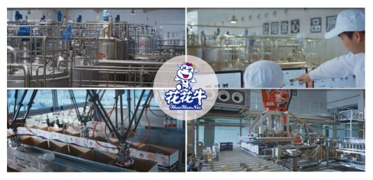 荣获全国“质量月”五项大奖，登录入口真牛！