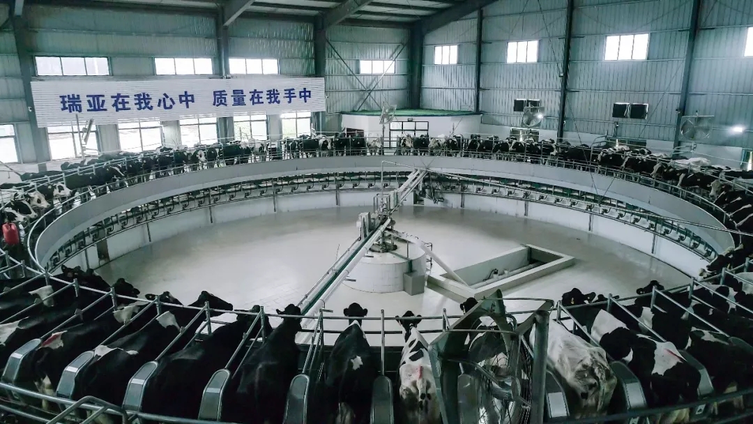 第31届中原畜牧业交易博览会 || 登录入口乳业集团获“河南省畜牧行业——最具影响力品牌”奖