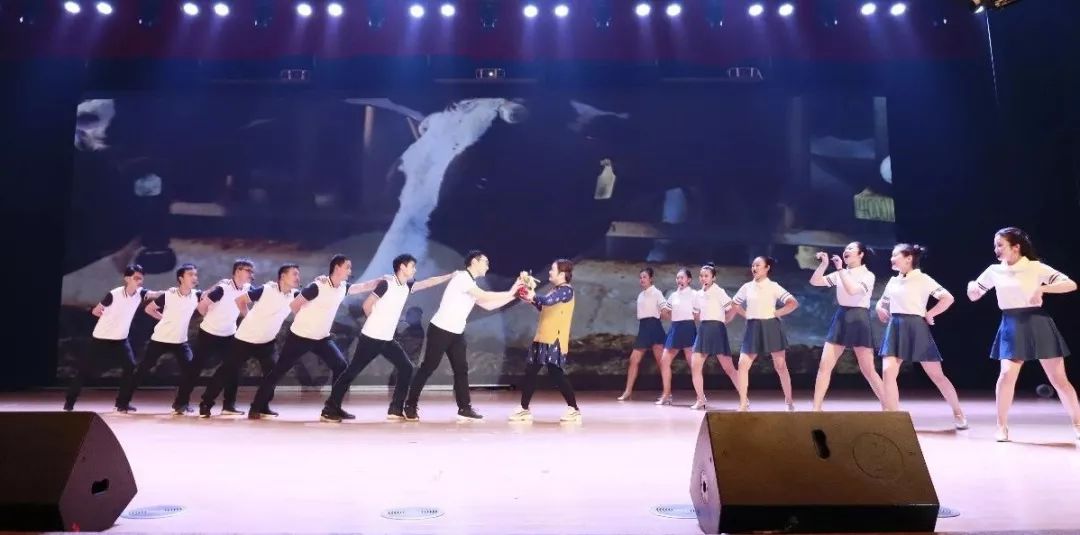 “赢在2019”，登录入口乳业集团2019年新春晚会盛大开幕