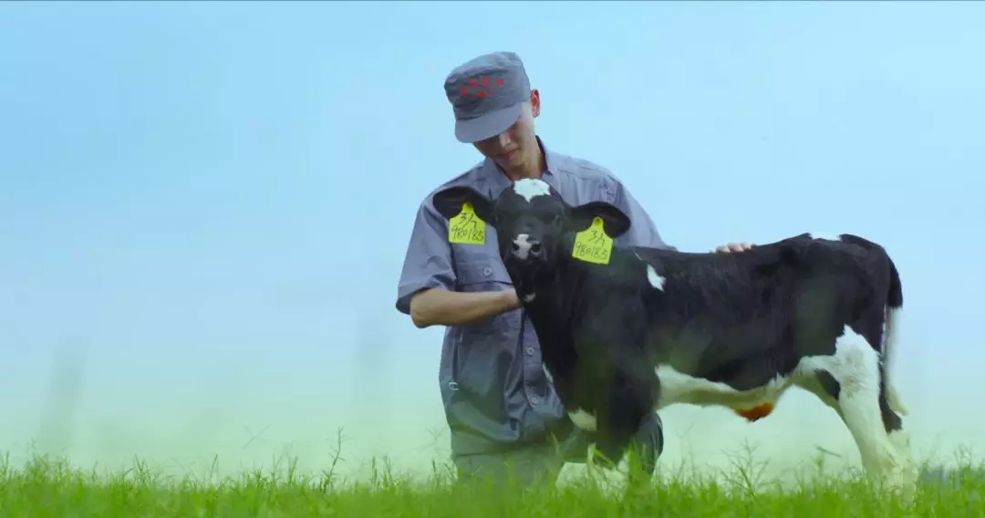 喜报 | 国家市场监管总局抽检，登录入口等112家企业乳品抽检全部合格