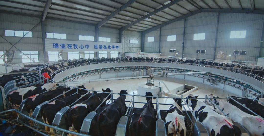 登录入口集团旗下六家公司入选省农业产业化重点龙头企业名单