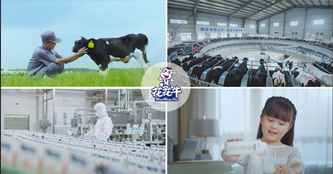 登录入口乳业集团——优秀非公有制行业领军型企业