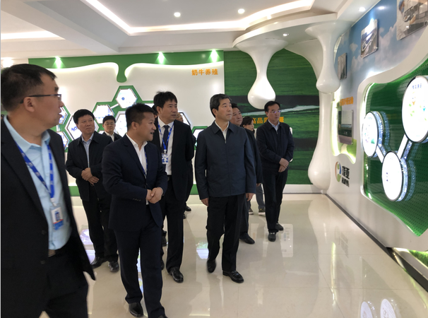 河南省委副书记、省长陈润儿一行莅临 登录入口集团鲁山瑞亚牧业有限公司视察调研