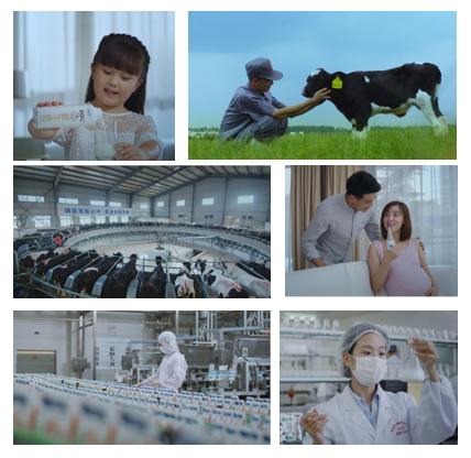 登录入口亮相中国奶业20强呼伦贝尔峰会，共话中国奶业振兴！