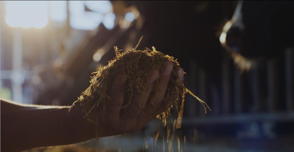 又双叒叕获奖啦！登录入口荣获“乳品质量安全管理 优秀企业”