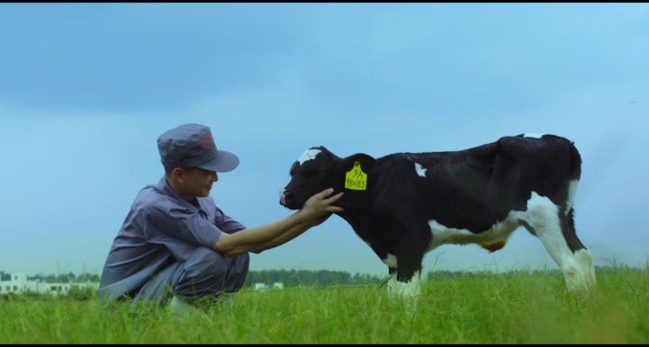 又双叒叕获奖啦！登录入口荣获“乳品质量安全管理 优秀企业”