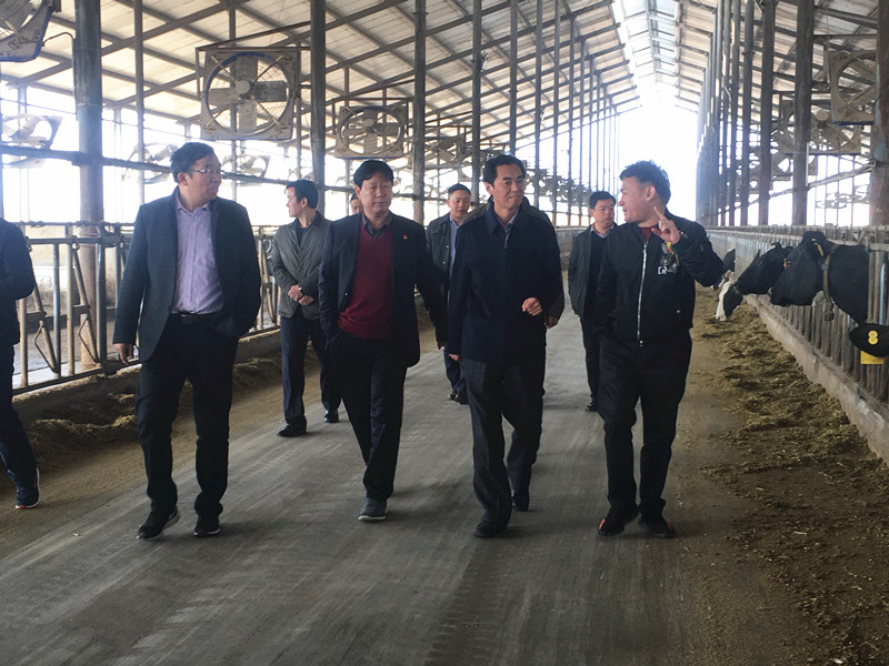 封丘县县长王献臣一行莅临 登录入口集团养殖、乳品事业部参观调研