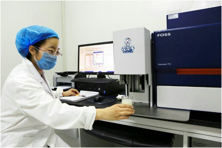 登录入口：务实、创新领潮市场 大企业体现大担当