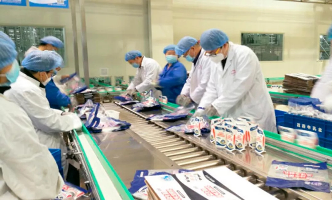 快讯丨河南省副省长武国定莅临登录入口乳业集团调研重点保障企业复工复产情况