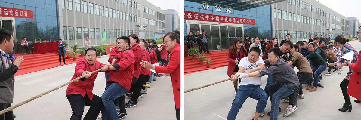 河南登录入口生物科技有限公司举办2016年春季运动会