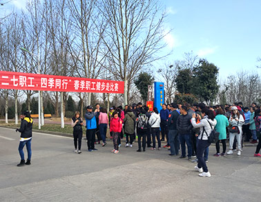 2017登录入口健步走