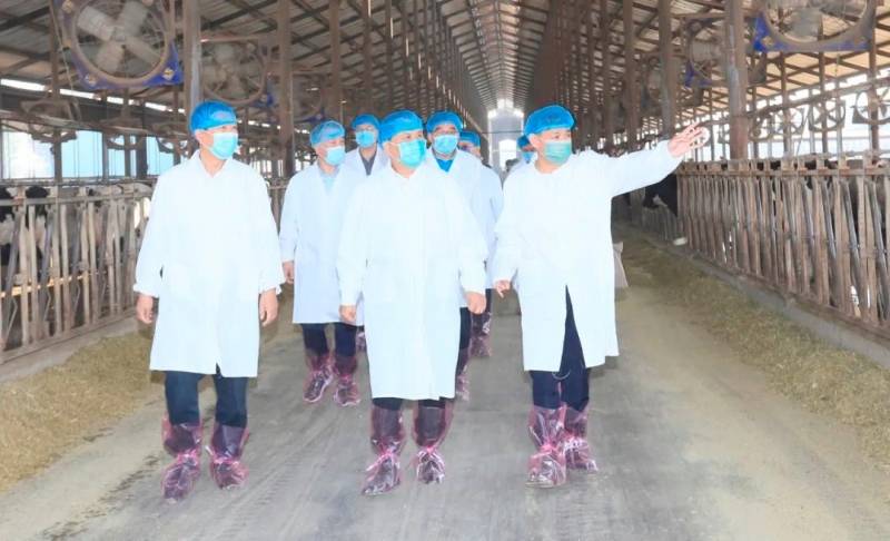 快讯丨河南省人民政府副省长武国定莅临登录入口乳业集团瑞亚牧业调研奶源基地建设情况