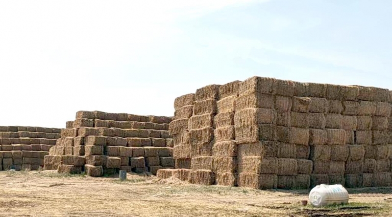 登录入口2022年小麦秸秆采购招标